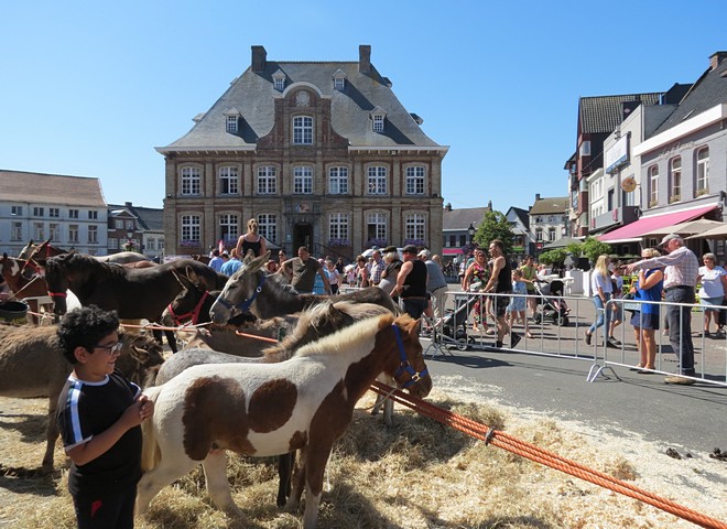 thumbnail-Hete Paardenmarkt