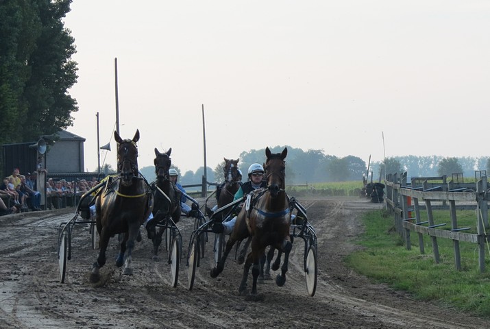 thumbnail-Geen paardenwedstrijden