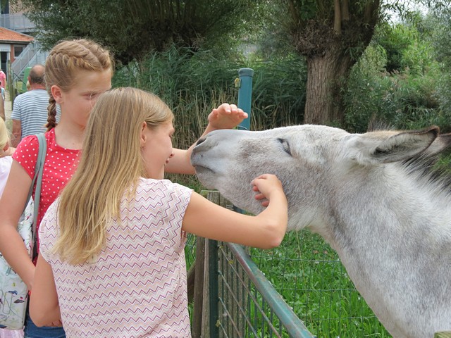 thumbnail-Kinderboerderij open vanaf 2 juni