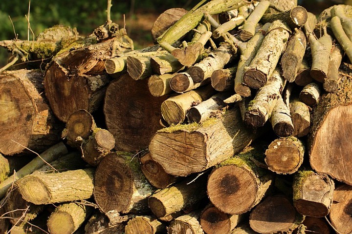 Niet essentieel Onbepaald Seizoen Verkoop brandhout