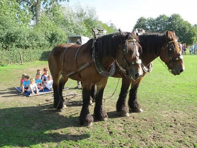 thumbnail-30ste Plattelandsdag