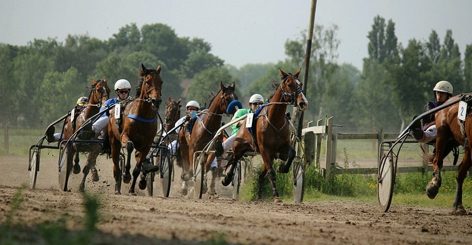thumbnail-Paardenrennen in Torhout op 27 augustus!